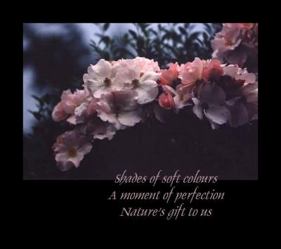 Nature's gift