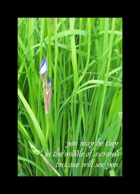 Photo Haiku