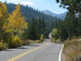 Hwy 108 east of Sonora Pass