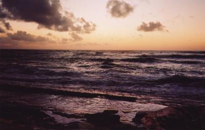 u13/louisehamelin/medium/12300109.dawnres.jpg