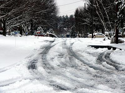 snowy day again ~ January 12th