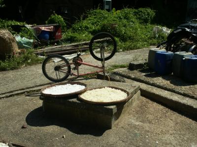 Tai O