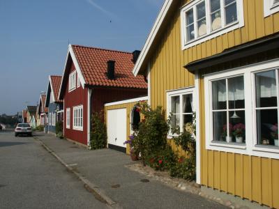 The typical swedish colours