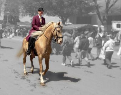 Saint Paul Horse Expo April 2005