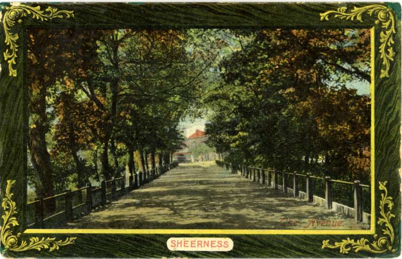 The Avenue