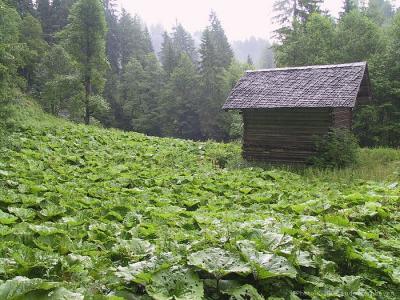 Kleinwalsertal
