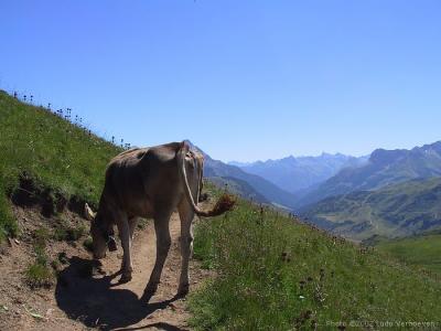 Kleinwalsertal