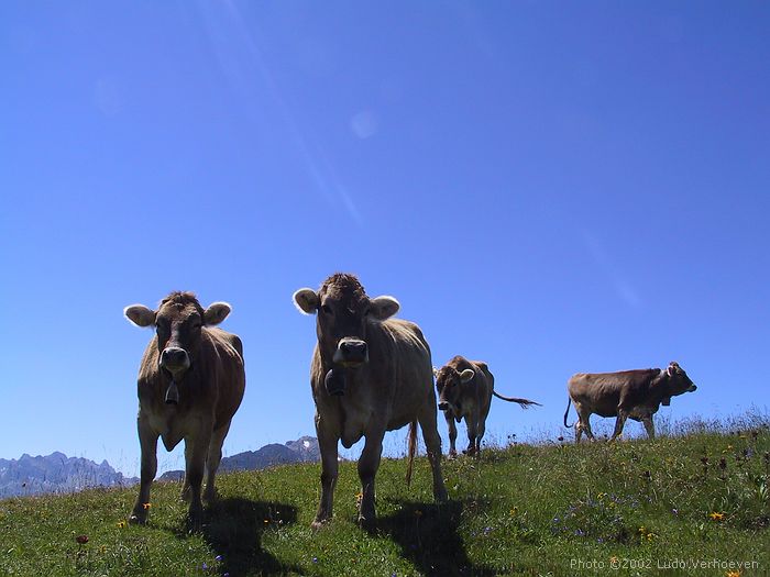 Kleinwalsertal