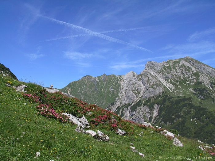 Kleinwalsertal - Widdersteinrundtour - Abstieg ins Gemsteltal