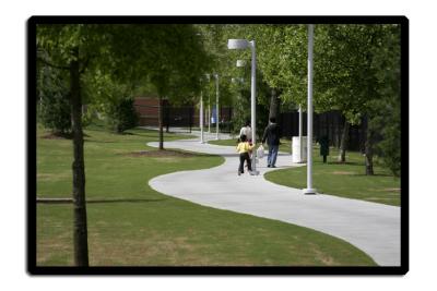 A stroll thru the park.
