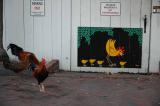 Key West 2