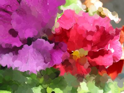 u13/lynnel/medium/38646148.pansies.jpg