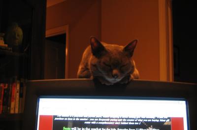 u13/macastat/medium/36487291.Maxawaits2.jpg