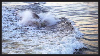 u13/maceg/medium/3653657.baleine07.jpg