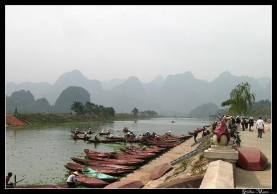 Img_8695.jpg
