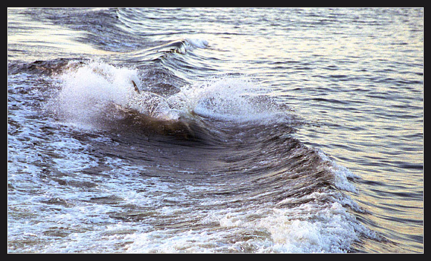 Sous leau