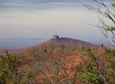Pilot Mountain view from Sauratown Mountain