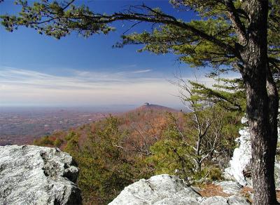 Pilot Mountain view from Sauratown Mountain