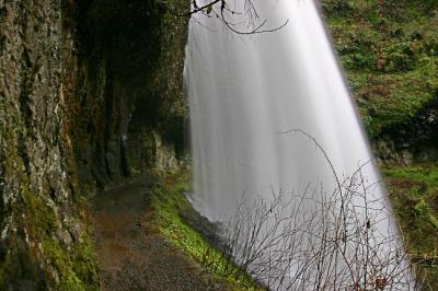 The trail behind Middle North Falls