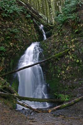 Fern Rock Falls