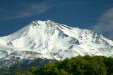 Mount Shasta