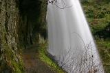 The trail behind Middle North Falls