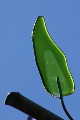 Img_9512 copy.jpg