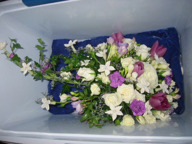 107-0709_IMG.JPG