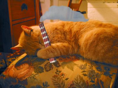 u13/maggs/medium/41652165.stonerkittydreams.jpg