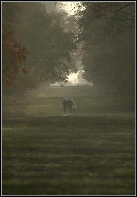 Walk In The Park