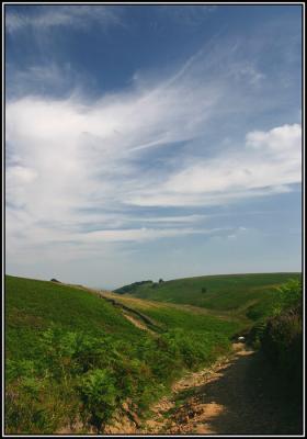 Afternoon path