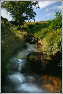 Rusty Stream
