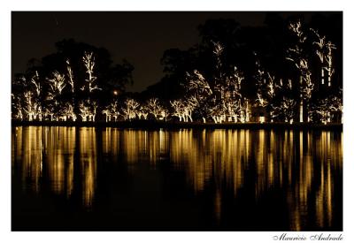 Parque do Ibirapuera
