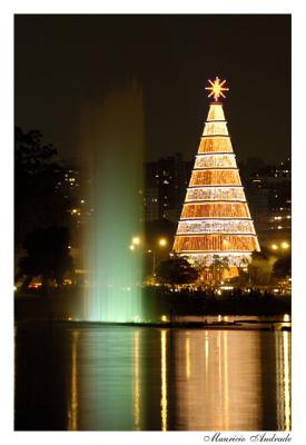 Parque do Ibirapuera