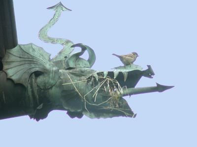 tweaking the dragons nose