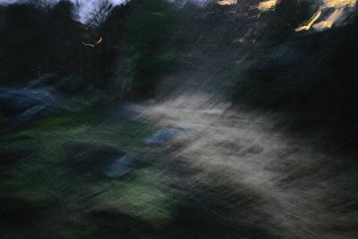 Jan 12: Trying to catch the rabbit