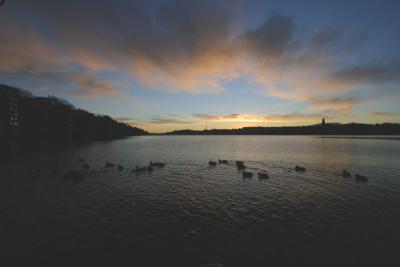 Jan 14: Duck swim in sunrise