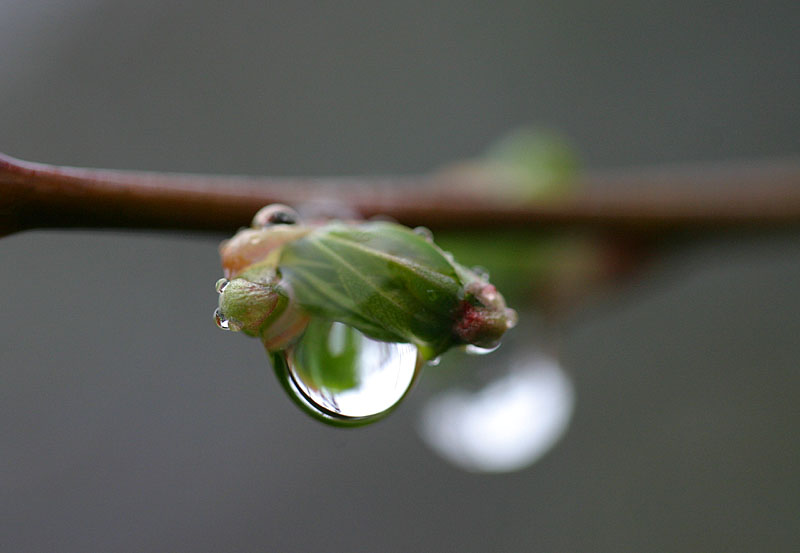 May 3: Drop