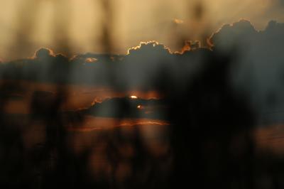 u13/markushuck/medium/3467844.Dsc_1044.jpg