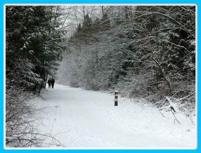 A frosty pathway.