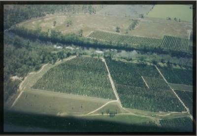 Gayndah Township_005.jpg