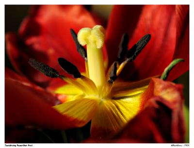 u13/max_at_home/medium/38417361.Pro1_MG_0346PE3.jpg