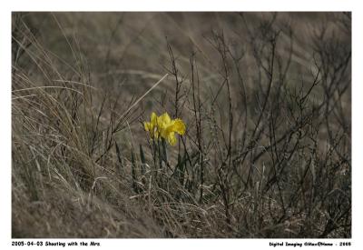 20D_MG_2923.jpg