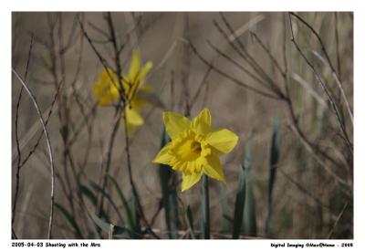 20D_MG_2926.jpg