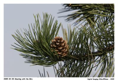 20D_MG_2942.jpg