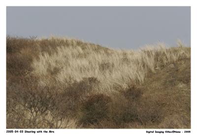 20D_MG_2944.jpg