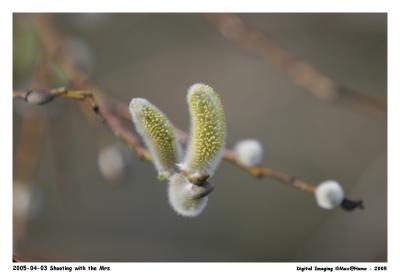 20D_MG_2952.jpg