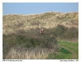 G3IMG_0124.jpg