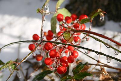 Thaw Two.jpg