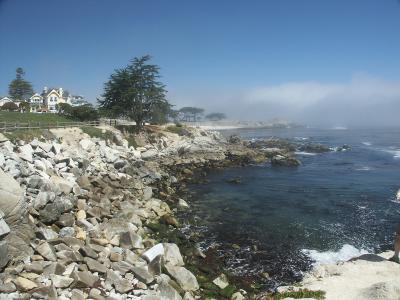 Foggy coast-line